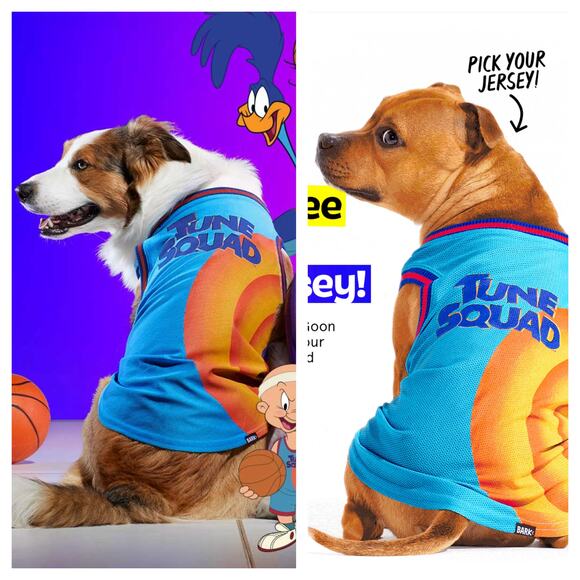 [Bark!] Space Jam Tune Squad Looney Tunes Jersey Dog Costume Halloween Sz Medium - Picture 1 of 9